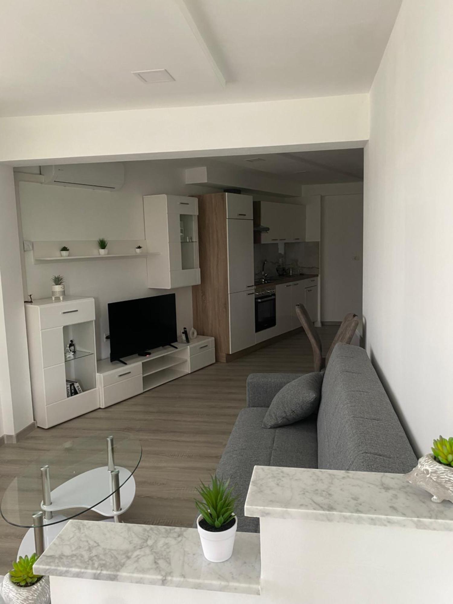 Apartma La Vita 科佩尔 外观 照片