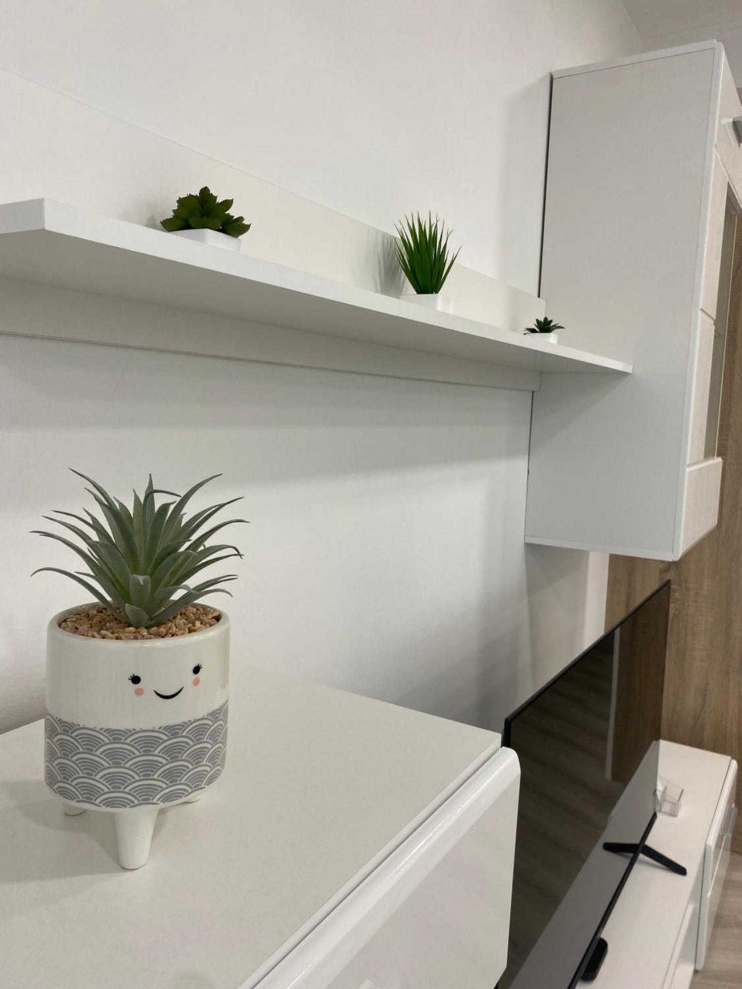 Apartma La Vita 科佩尔 外观 照片